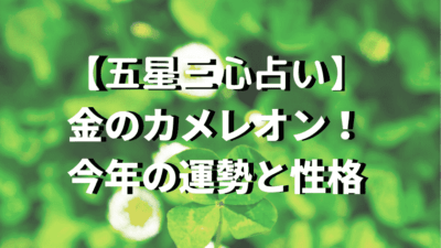 銀の羅針盤 性格