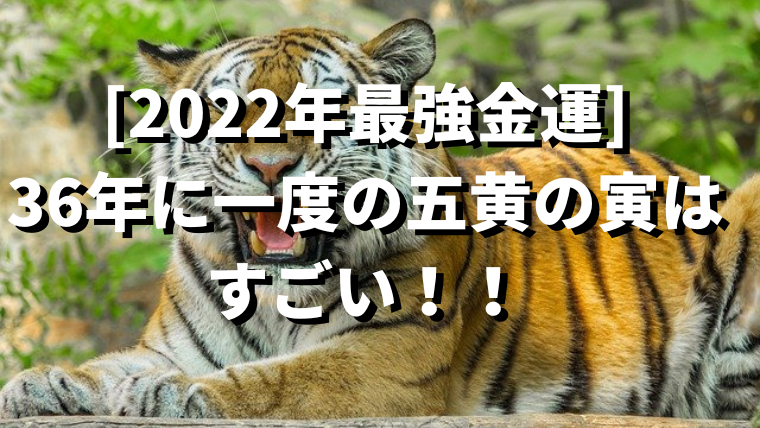 ２０２２年最強金運]36年に一度の五黄の寅はすごい！！ゲッターズ飯田｜金運アップまねこラボ